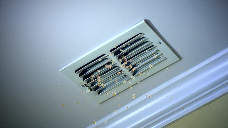 Best Affordable HVAC Duct Cleaning  in Wanatah, IN